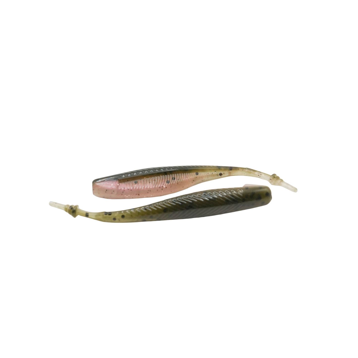 4" Pintail Shad